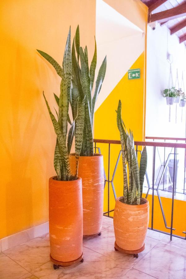 Hotel Porton Colonial Medellín Dış mekan fotoğraf